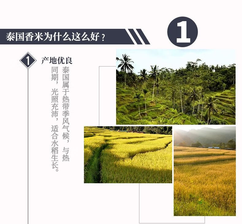 包邮批发！进口大米金怡泰国黑莓果米/真空1kg优质香米百货详情4