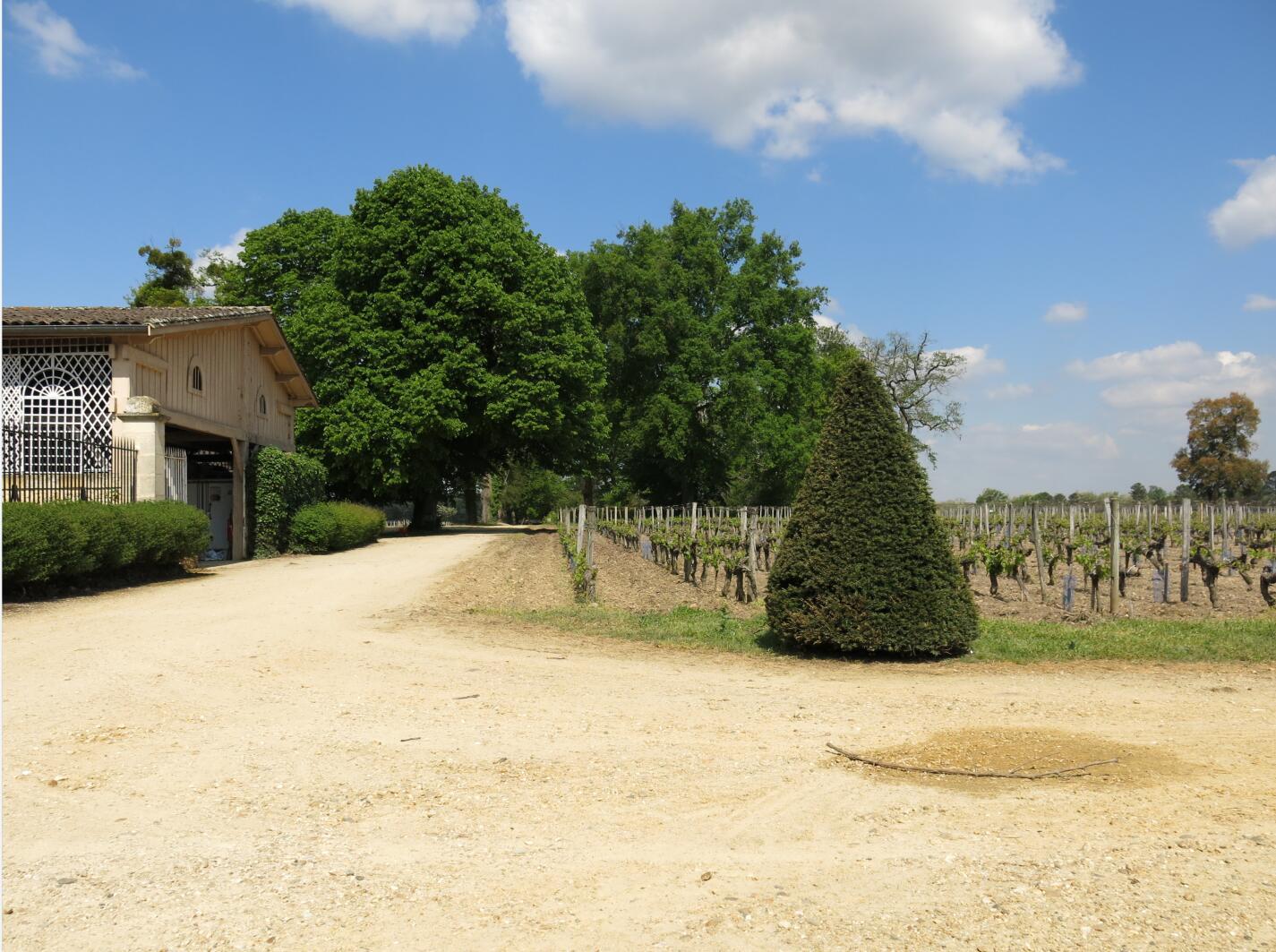 Free shipping! Chateau Garde, Graf region, France, 750ml 2016, 14%vol pic 8