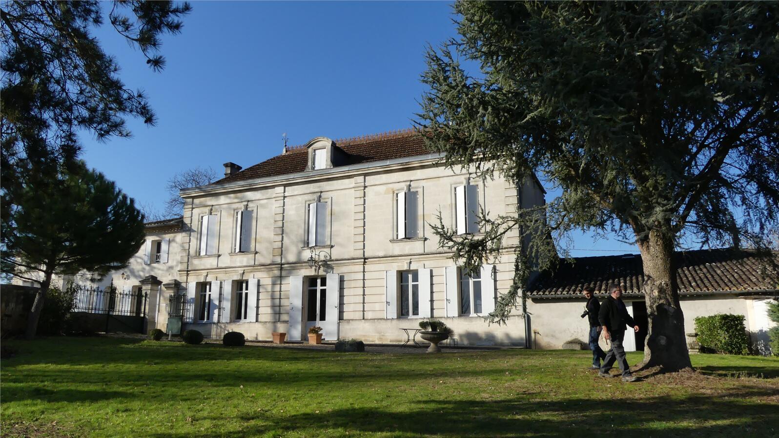 Free shipping! Chateau Dibano Dry Red Wine from Fronsac, France, 750ml, 2018, 14%vol pic 9