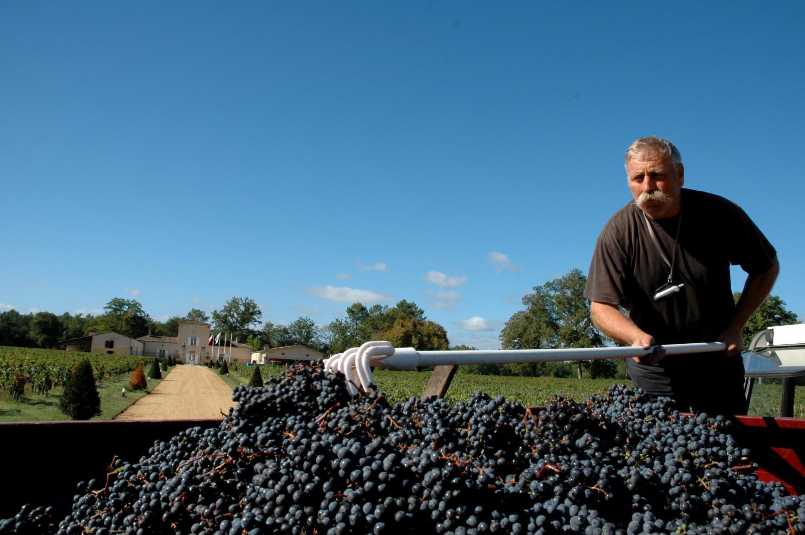 Free shipping! Chateau Garde, Graf region, France, 750ml 2016, 14%vol pic 5