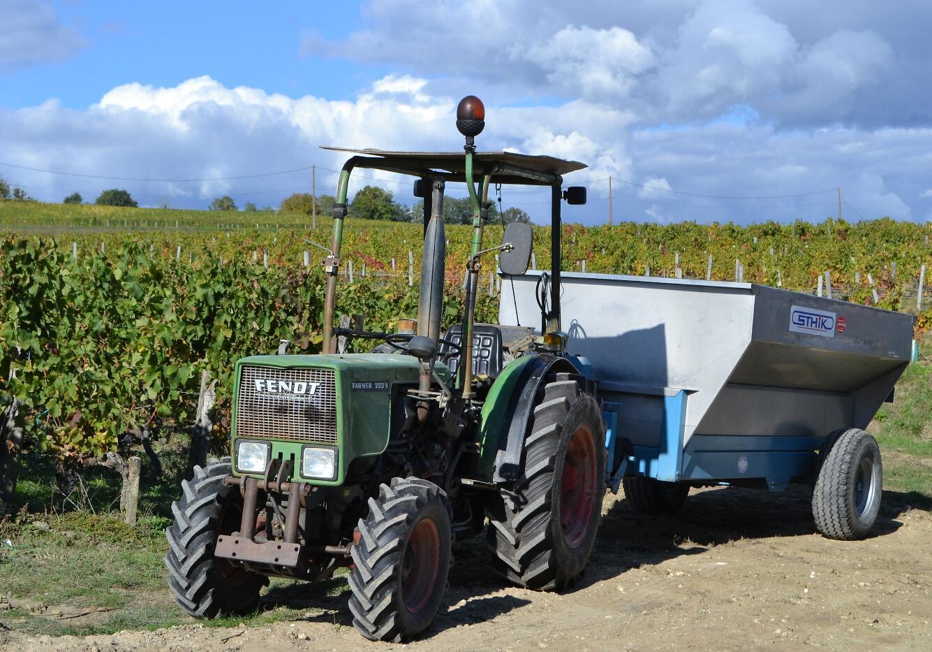 Free shipping! Chateau Dibano Dry Red Wine from Fronsac, France, 750ml, 2018, 14%vol pic 4