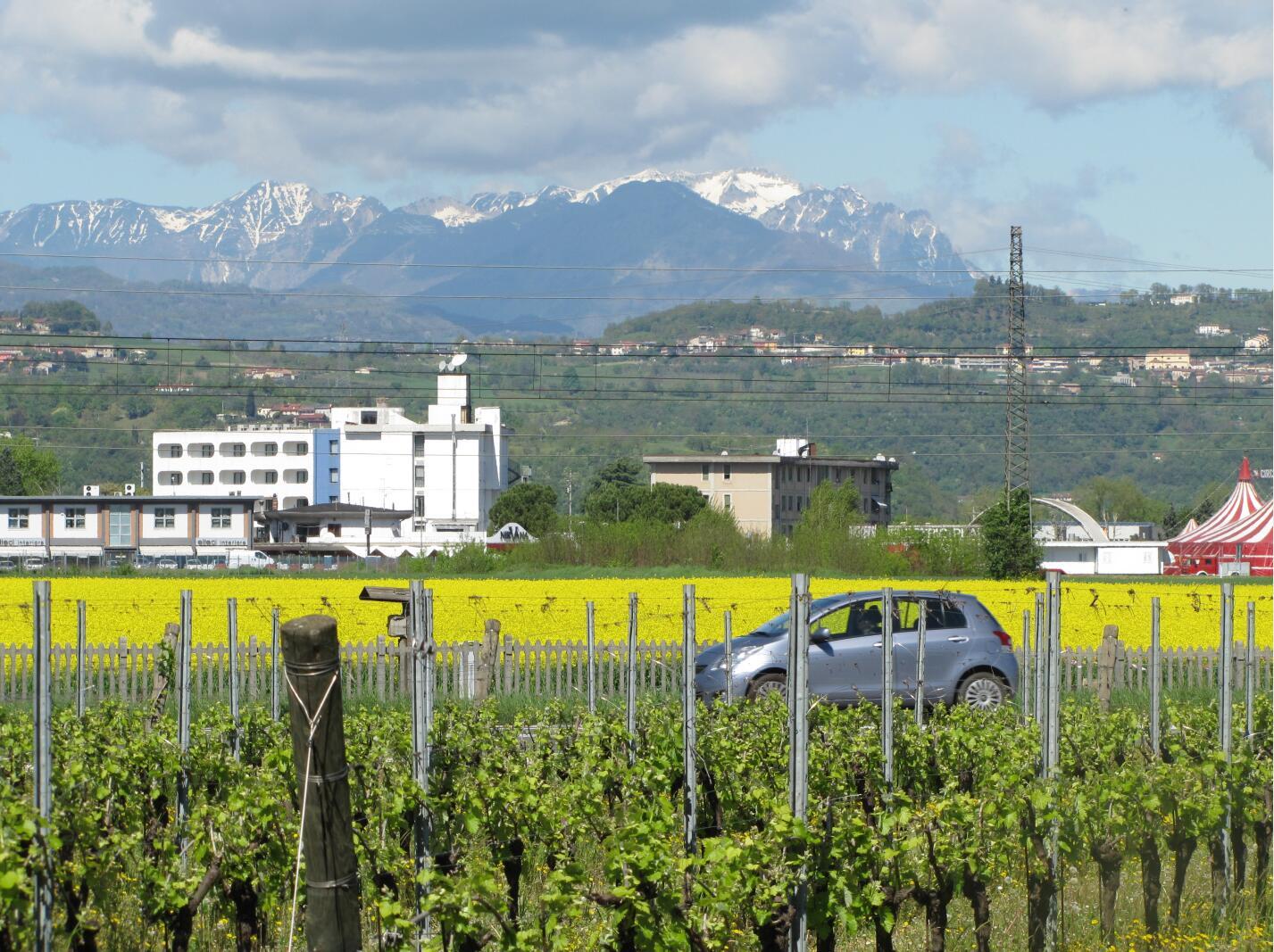 Free shipping! Shiraz Dry Red Wine from Corre Estate, Sicily, Italy, 750ml, 2020 Application Scenario