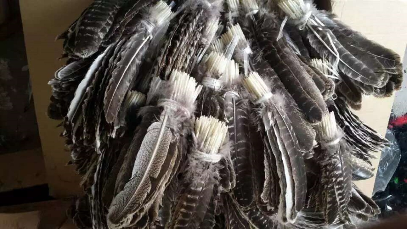 羽毛批发装饰diy饰品发饰材料逗猫棒玩具配件尾毛