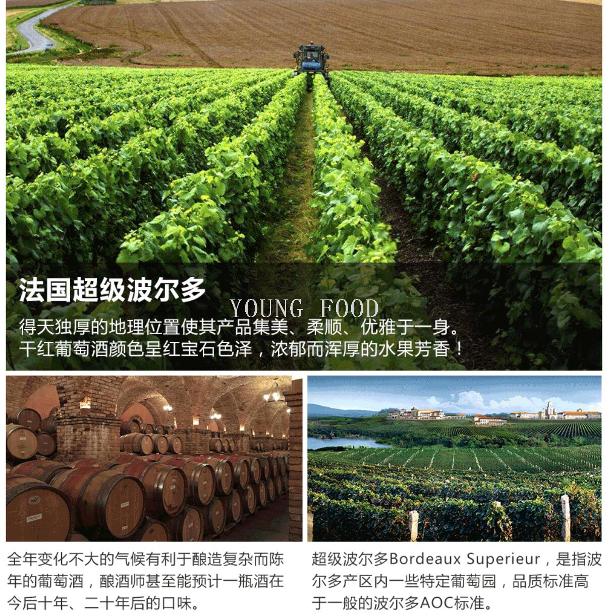 Free shipping! Chateau Mouton Cross Dry Red Wine from Bordeaux, France, 750ml, 14.5%vol pic 4