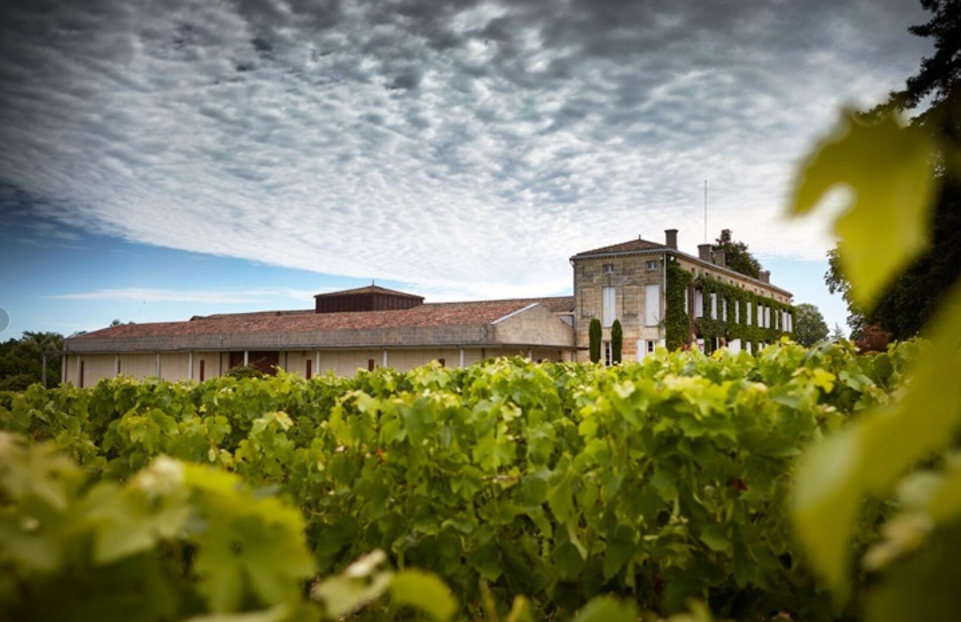 Free shipping! Chateau Langut Red Fish Dry Red Wine 750ml from Pomerol Region, France, 2016 Application Scenario