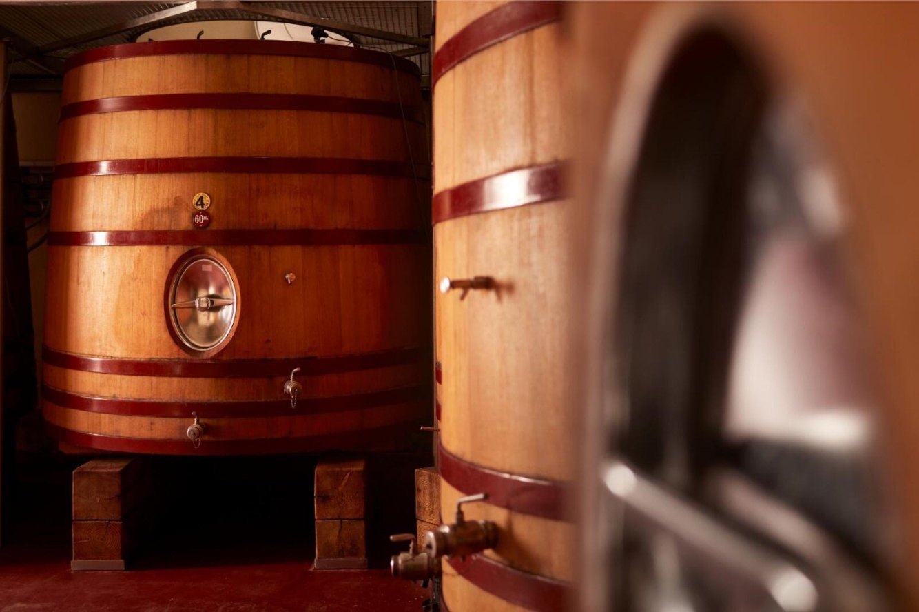 Free shipping! Chateau Langut Red Fish Dry Red Wine 750ml from Pomerol Region, France, 2016 details Picture