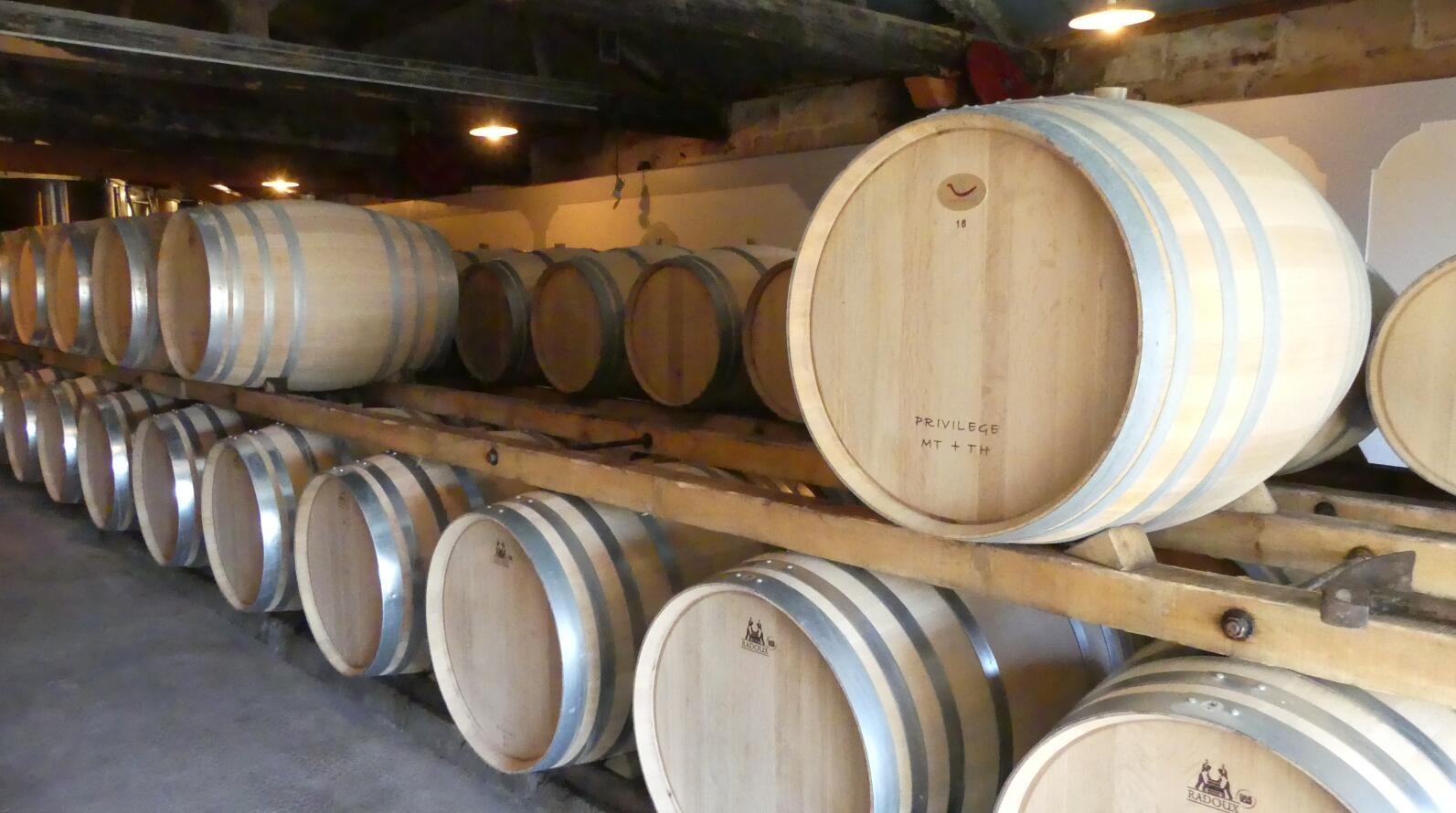 Free shipping! Chateau Dibano Dry Red Wine from Fronsac, France, 750ml, 2019, 14%vol pic 7