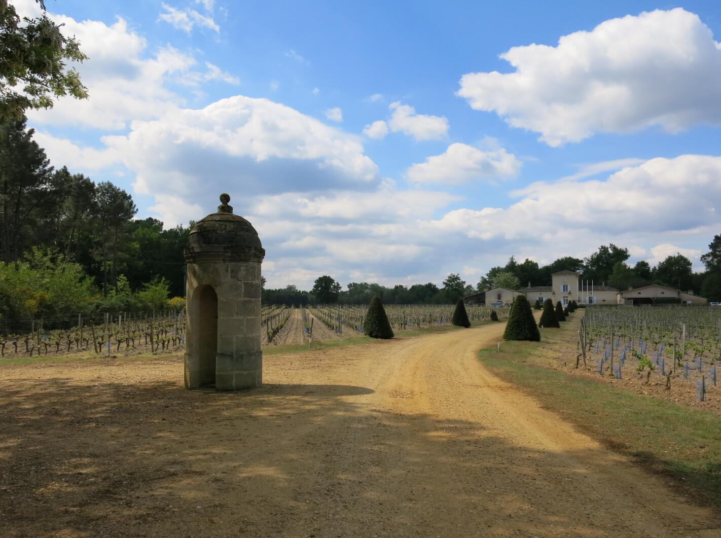 Free shipping! Chateau Garde, Graf region, France, 750ml 2016, 14%vol pic 9