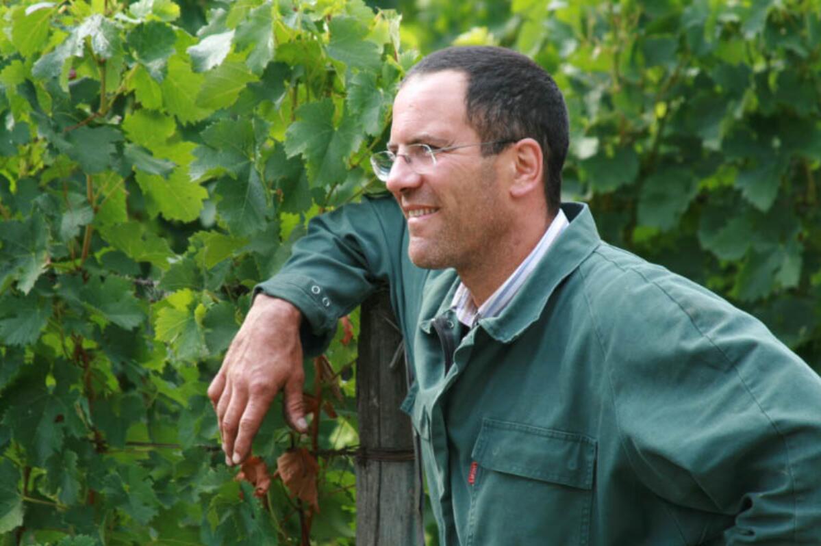 Free shipping! Chateau Dibano Dry Red Wine from Fronsac, France, 750ml, 2018, 14%vol pic 3