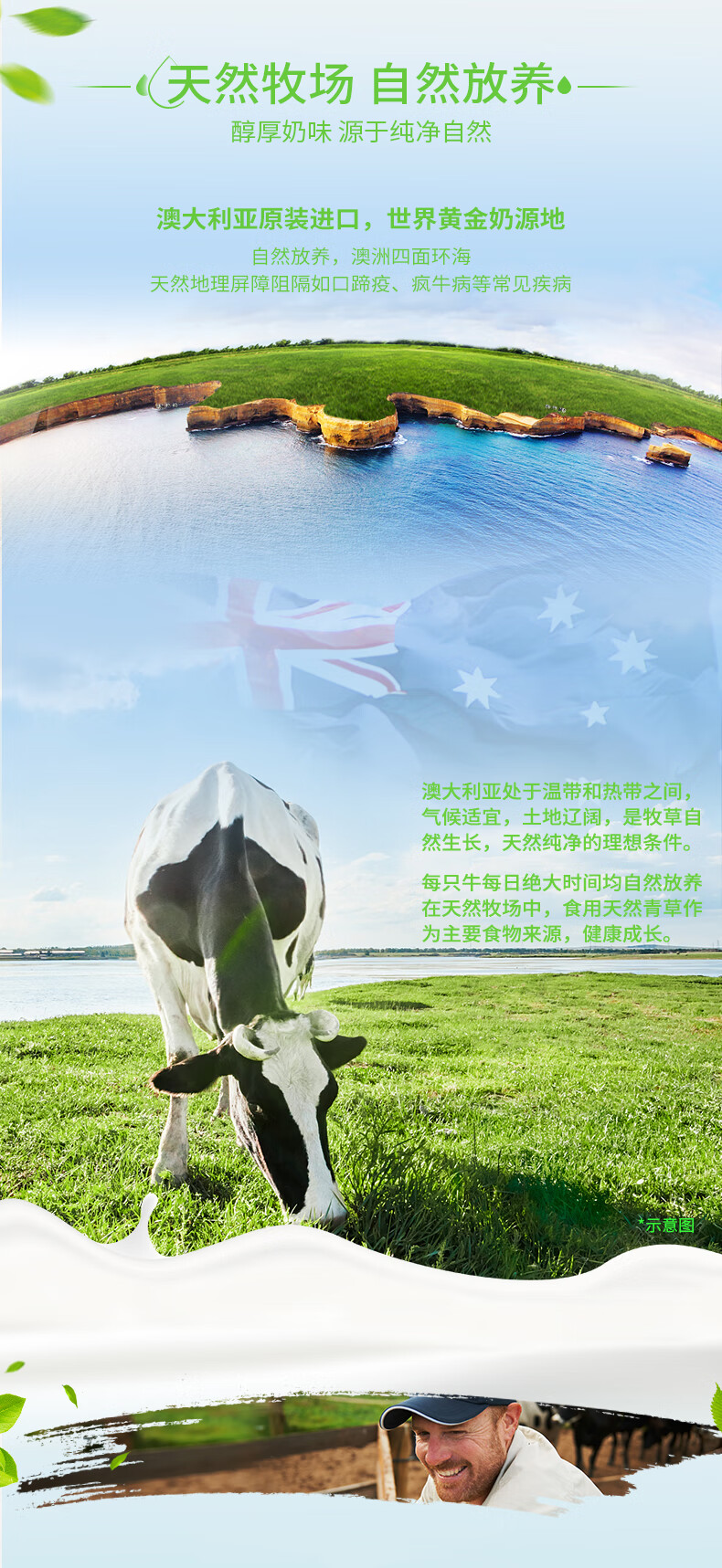 包邮！澳洲原装进口德运脱脂纯牛奶 200ml*24盒整箱奶 200ml*24盒详情4