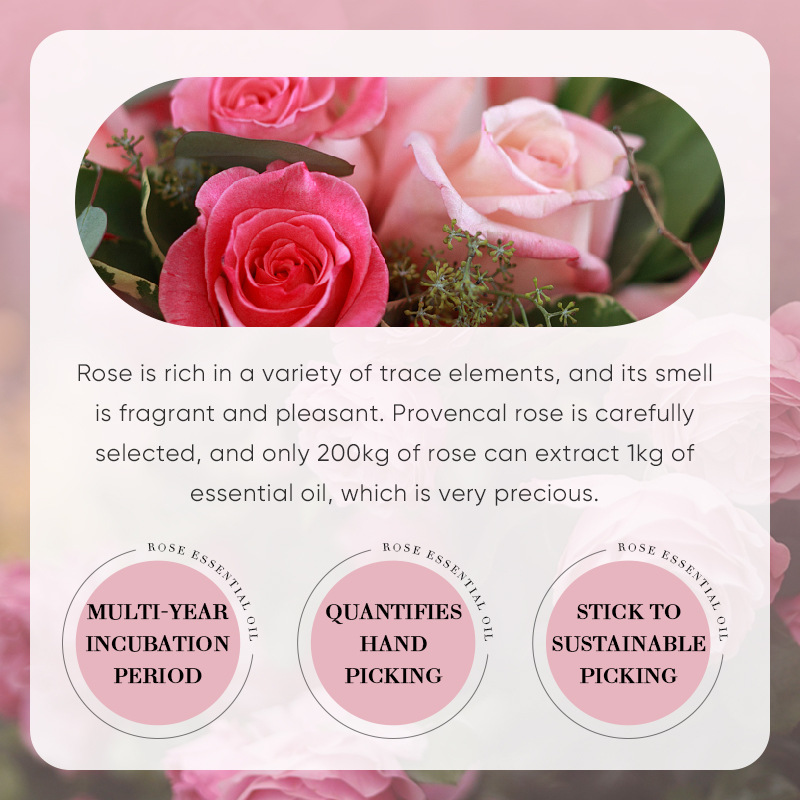 Cross-border export wholesale of SADOER rose essential oil for locking in moisture, smoothing out skin tone, massage essential oil and body care Specification drawing