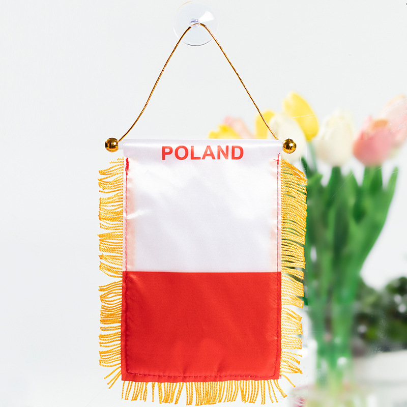 The Chuangdong flag, the national flag of the fans of the World Cup in the United States, Canada and Mexico, the Siding flag, the car rearview mirror suction cup pendant, the tassel mini small flag pic 23