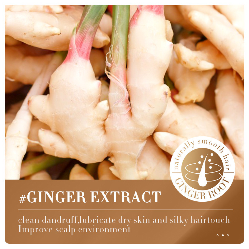 Full English SADOER Ginger Essence Shampoo Softening sample Travel portable shampoo Cross-border wholesale Specification drawing