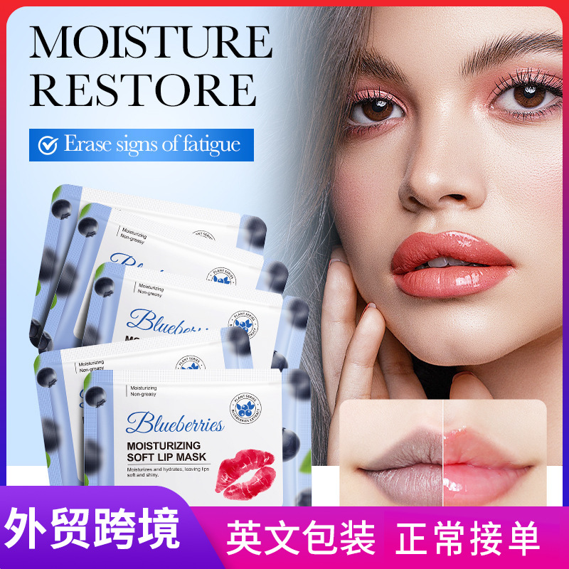 All-english FAYANKOU blueberry Moisturizing Lip Mask to improve lip lines, jelly lip mask, lip care, cross-border export full figure