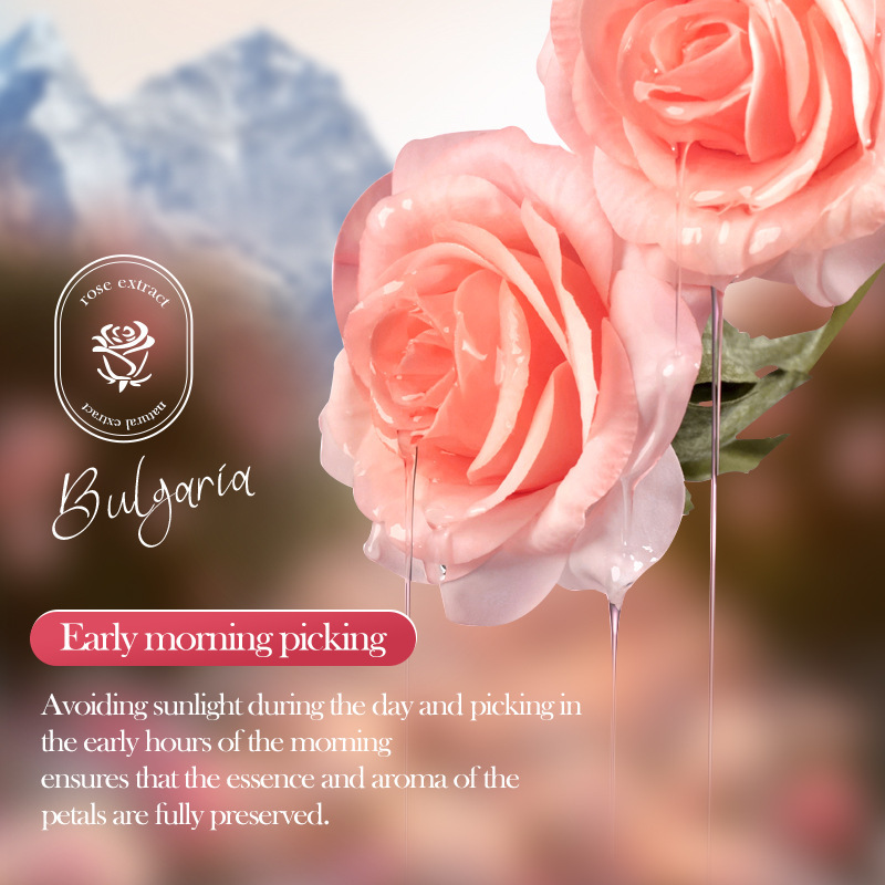 Full English SADOER rose Body Perfume, roll-on, long-lasting, refreshing roll-on perfume, cross-border export wholesale Specification drawing
