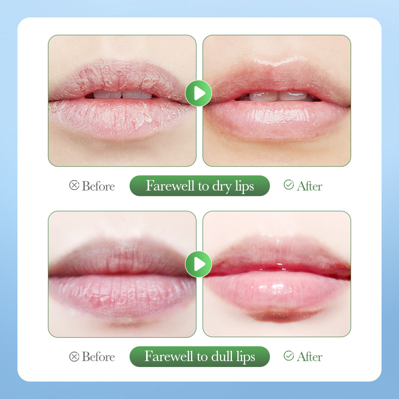 Full English SADOER avocado Lip Scrub Autumn and Winter Moisturizing Lip Balm cross-border export wholesale Specification drawing