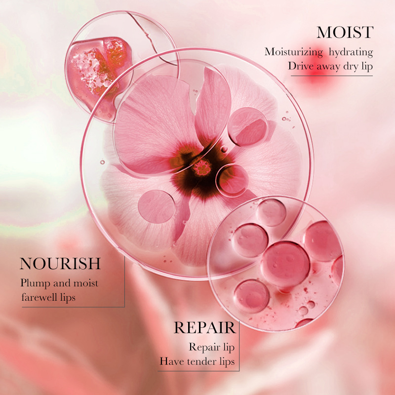 Full English SADOER Cherry Nourishing Lip Mask: Moisturizing and hydrating lips, lip care, cross-border wholesale Item Picture