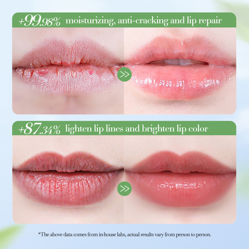 All-english SADOER blueberry Vaseline Nourishing Anti-Cracking Jelly Moisturizing Lipstick Cross-border export wholesale Application Scenario
