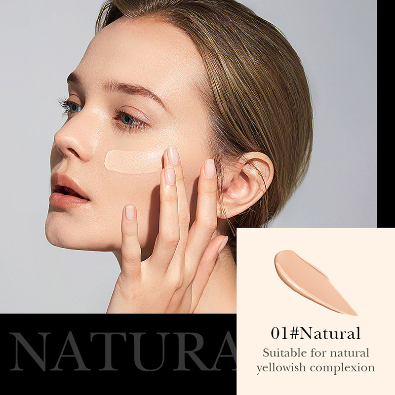 All-english BIOAOUA Aloe Vera Beauty Cushion bb Cream Non-clogging Powder Contouring Mushroom Cushion Cross-border export wholesale Application Scenario