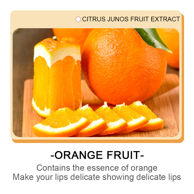SADOER Vitamin C Moisturizing Lip Balm, Double Lip Care Moisturizing Lip Balm, cross-border export wholesale Application Scenario