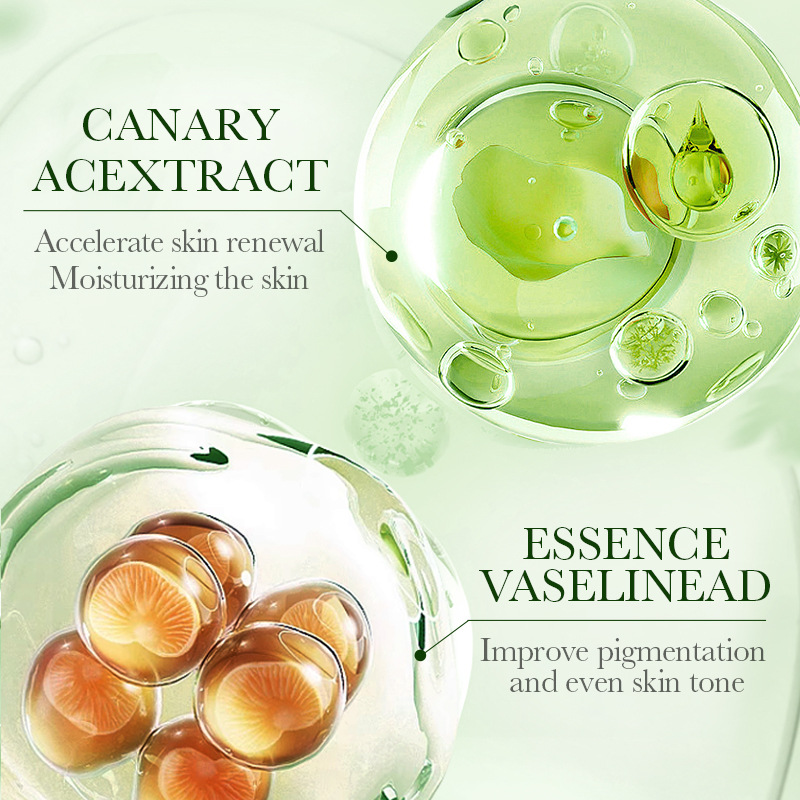 Full English SADOER Olive Moisturizing Body Lotion for skin rejuvenation, hydration and beauty enhancement Cross-border export wholesale Specification drawing