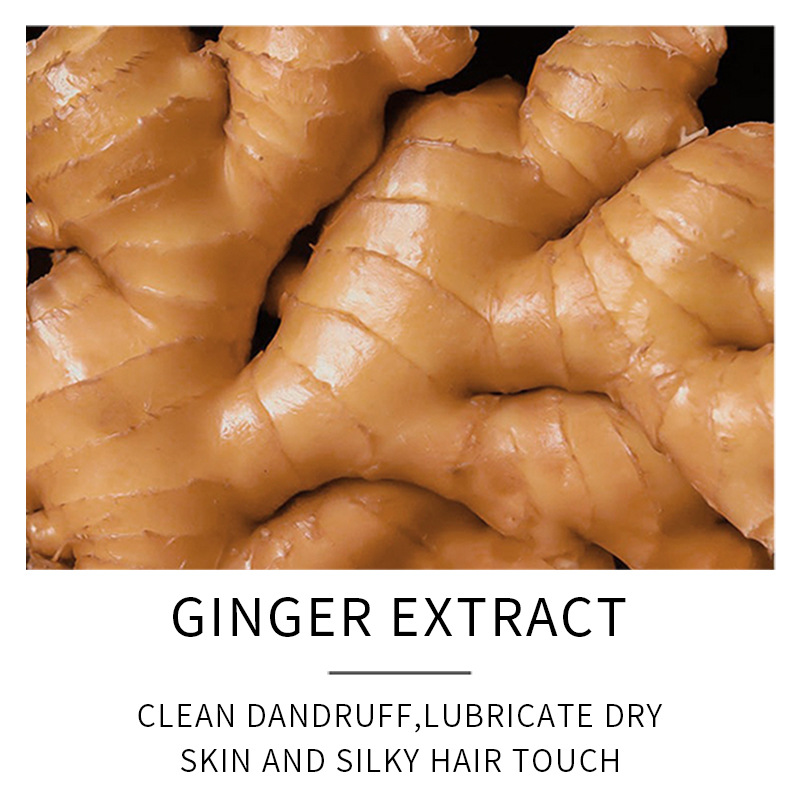 SADOER Ginger Hair Care Liquid in full English, moisturizing, smooth and caring for hair, cross-border export wholesale Specification drawing