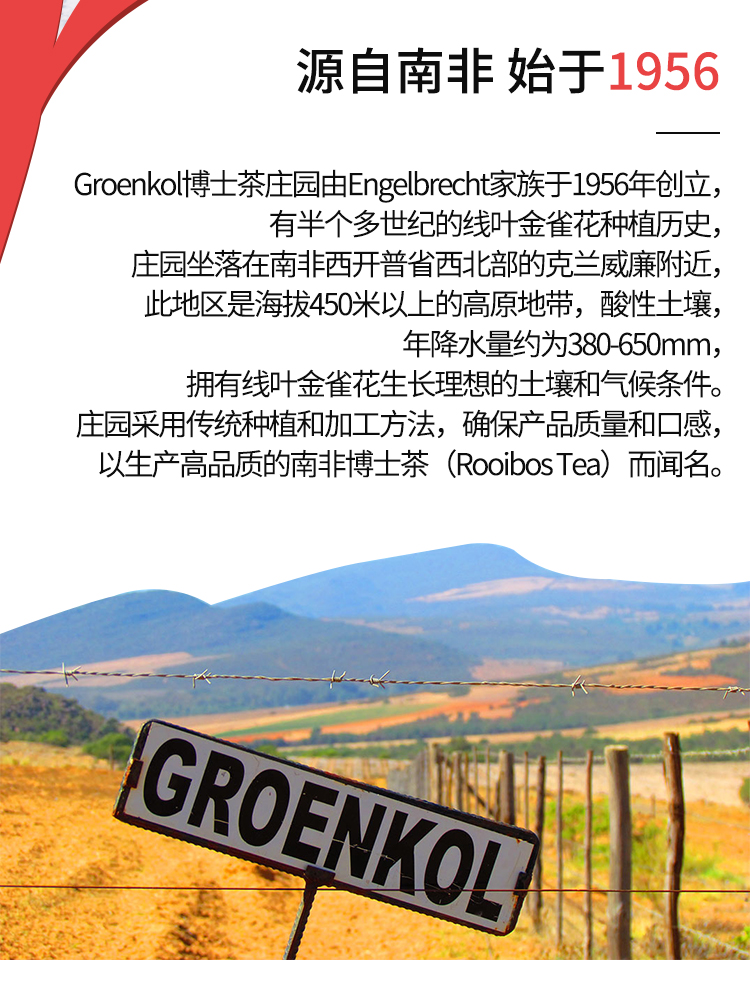 包邮!南非进口茶叶茶包African Dawn原味博士茶(代用茶)100g详情5