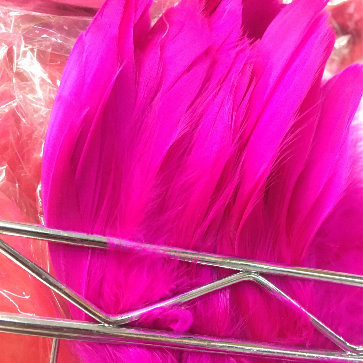 七彩羽毛 各色羽毛 厂家直销辅料 羽毛厂家羽毛 各种羽毛