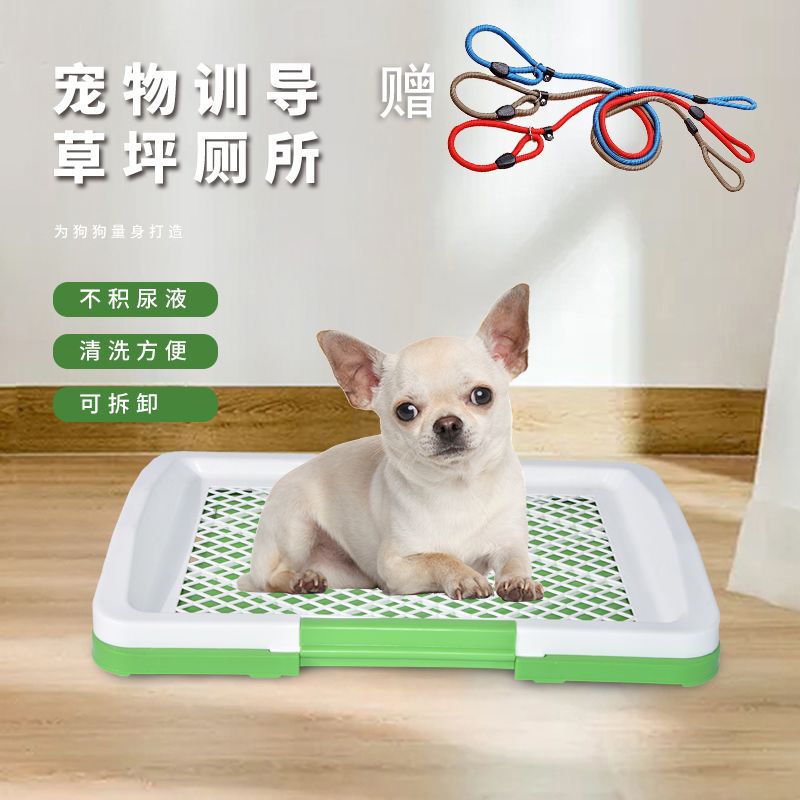 狗狗的草坪厕所，仿真人造草皮清洁清理大小便使用方便排便设计创意