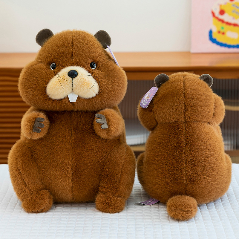 New cross-border cartoon groundhog plush toys, cute groundhog pet home decoration items, children's companion dolls Specification drawing