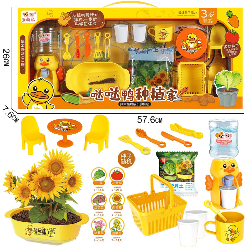Free shipping for early education, kindergarten children, flower planting, potted plant DIY, scientific hands-on experiment, plant seed gifts, toys full figure