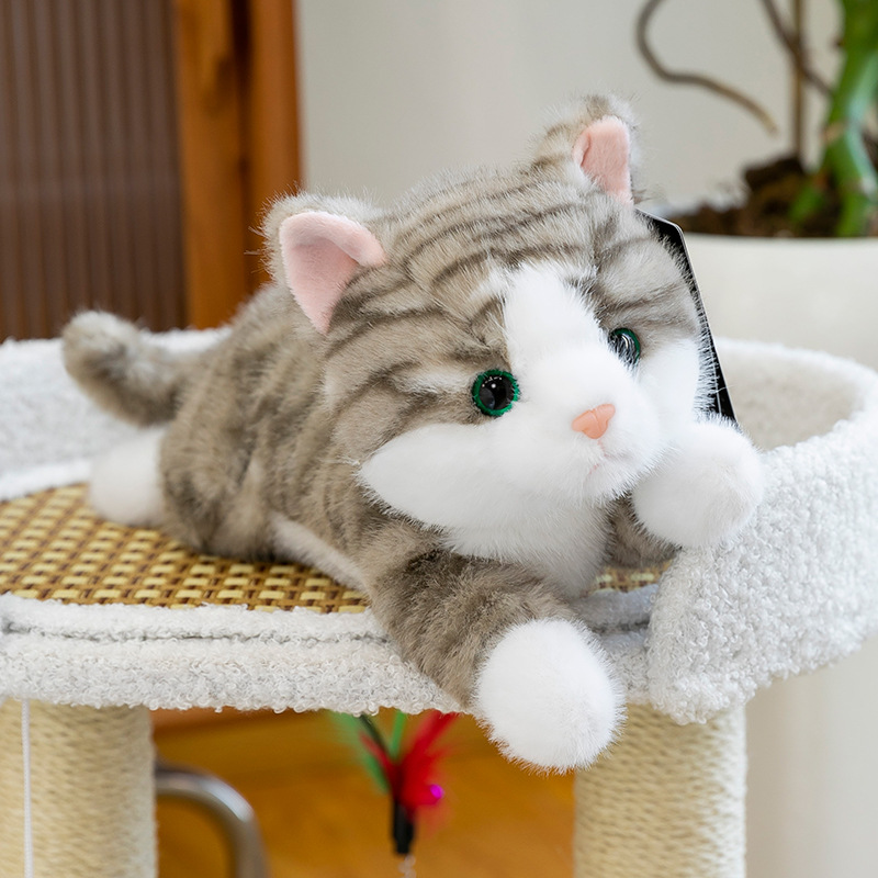 Authentic cute Papa Cat plush toy doll, cute little cat, soft pillow, cuddle doll, festival gift Specification drawing