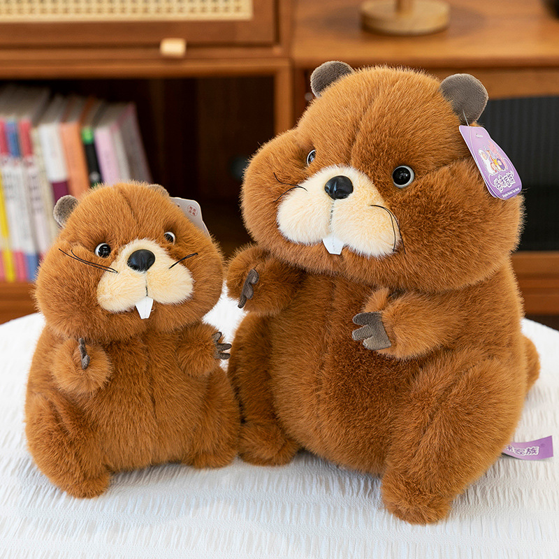 New cross-border cartoon groundhog plush toys, cute groundhog pet home decoration items, children's companion dolls details Picture