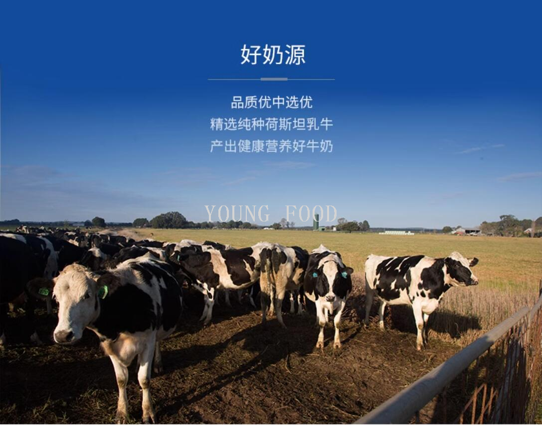 包邮！澳洲进口高钙高蛋白质含量Dairy day戴瑞得脱脂奶粉1kg全脂详情9