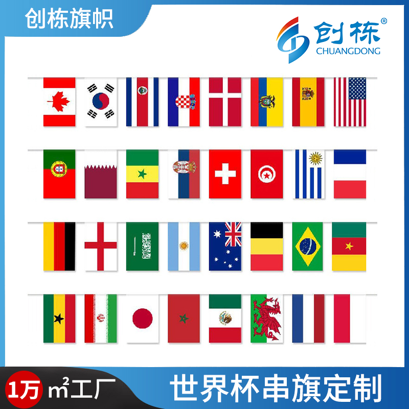 创栋旗帜世界杯球迷用品彩旗串旗户外装饰挂旗14*21cm吊旗涤纶旗帜标志旗