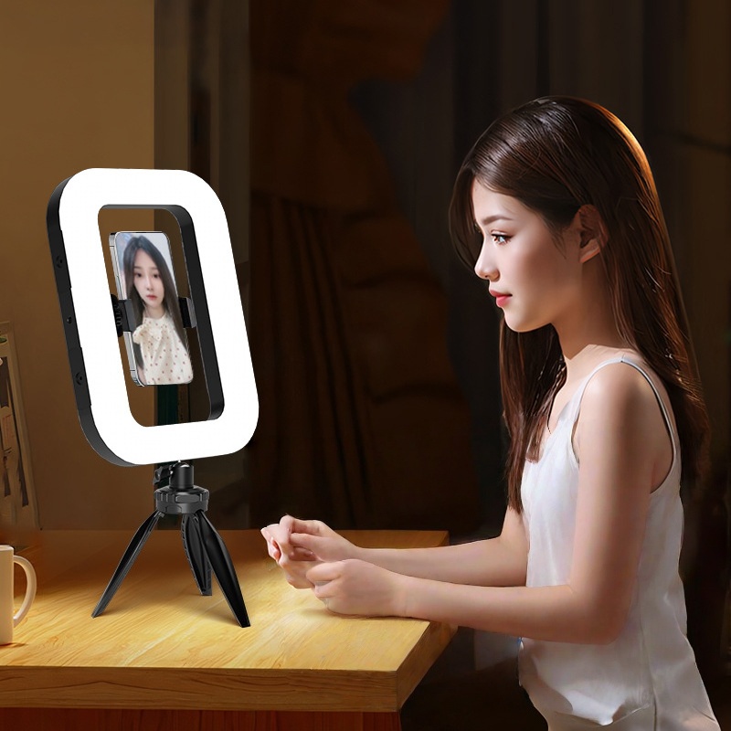 Handheld circular fill light, outdoor photography lighting light, LED high-brightness live streaming beauty light, portable desktop circular light details Picture