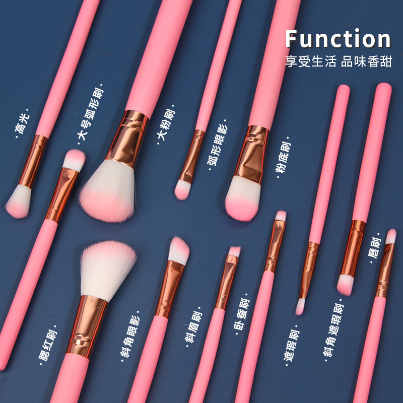 A complete set of 12 makeup brushes for beginners, portable pink soft-bristled makeup brushes, and wholesale beauty tools Application Scenario