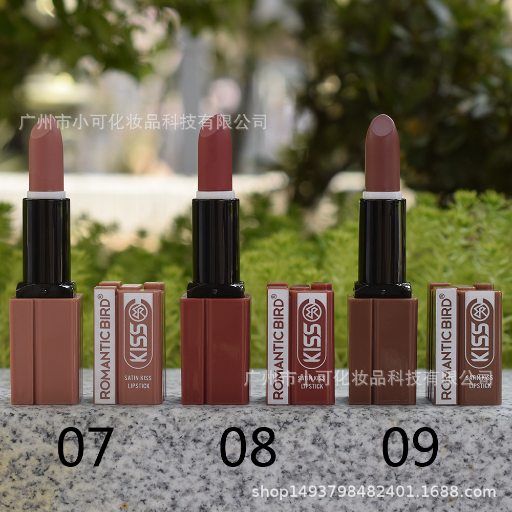 Only export [ROMANTIC BIRD] R4719A MATTE LIPSTICK Matte Lipstick Cross-border 12 colors Application Scenario