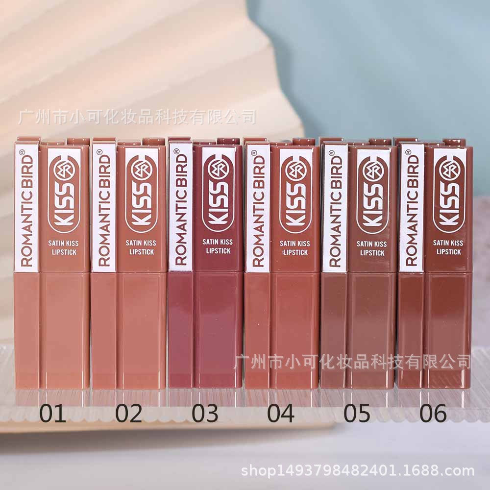 Only export [ROMANTIC BIRD] R4719 MATTE LIPSTICK Matte Lipstick Cross-border 12 colors Application Scenario