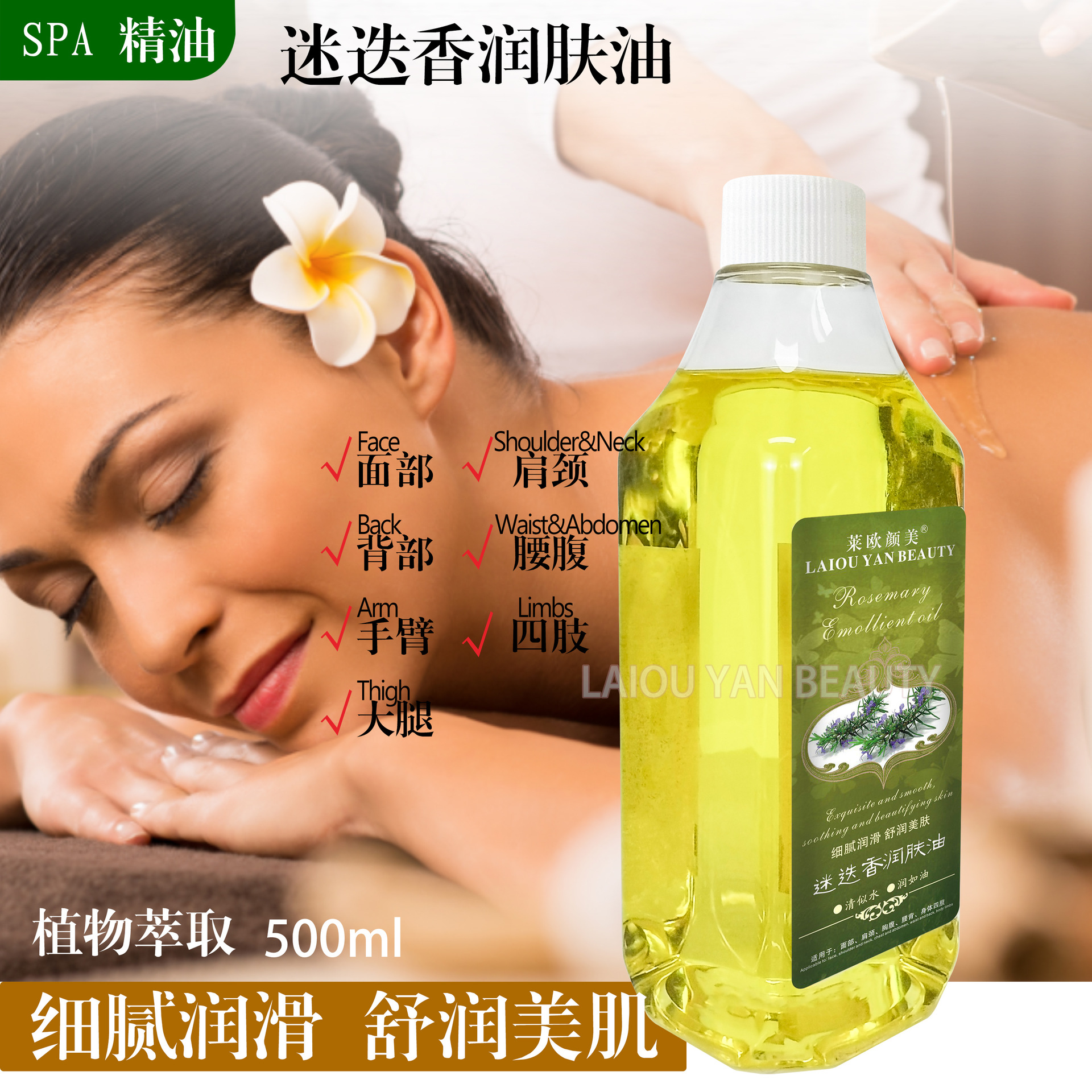 Cross-border Beauty Salon Olive Moisturizing Oil, Body Massage Oil, bb Oil, Gua Sha Massage, Mugwort essential Oil, 500ml details Picture
