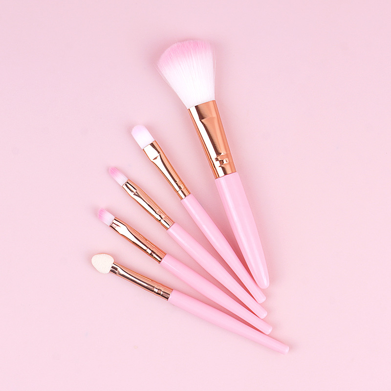 5-piece makeup brush set for beginners, mini mini eyeshadow brush, complete set of makeup brushes and beauty tools wholesale Application Scenario