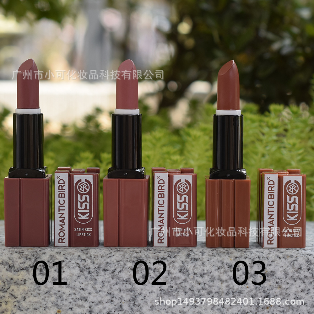 Only export [ROMANTIC BIRD] R4719A MATTE LIPSTICK Matte Lipstick Cross-border 12 colors details Picture
