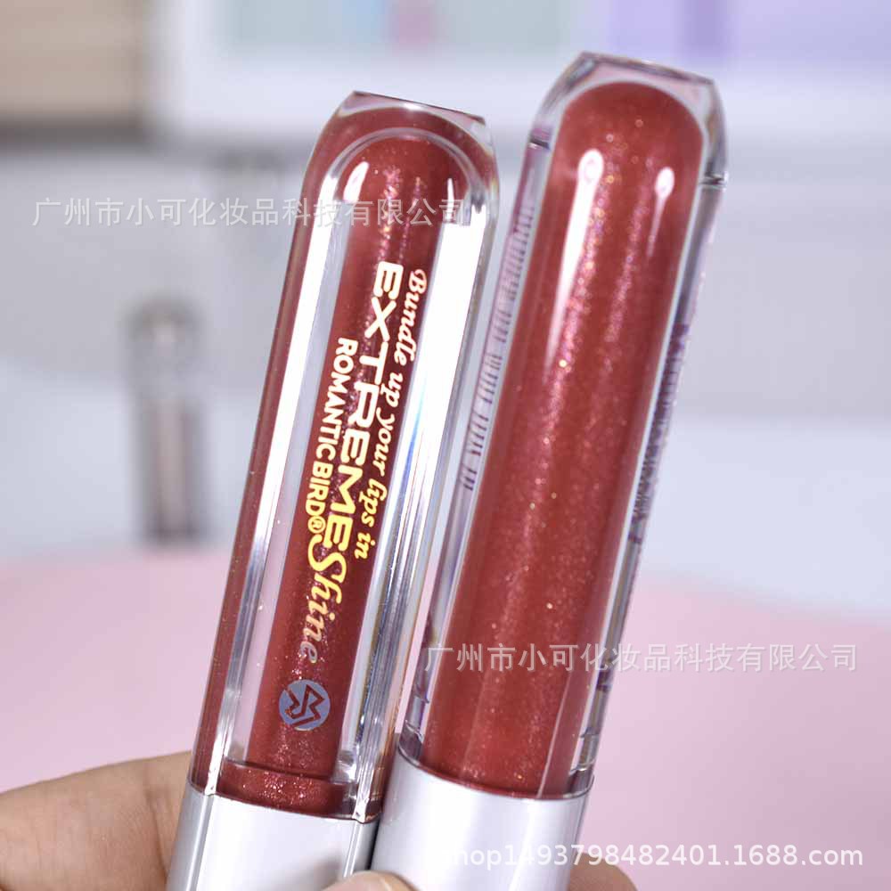 ROMANTIC BIRD's New Sparkling Lip Gloss RB305 Shimmering Lip Gloss Specification drawing