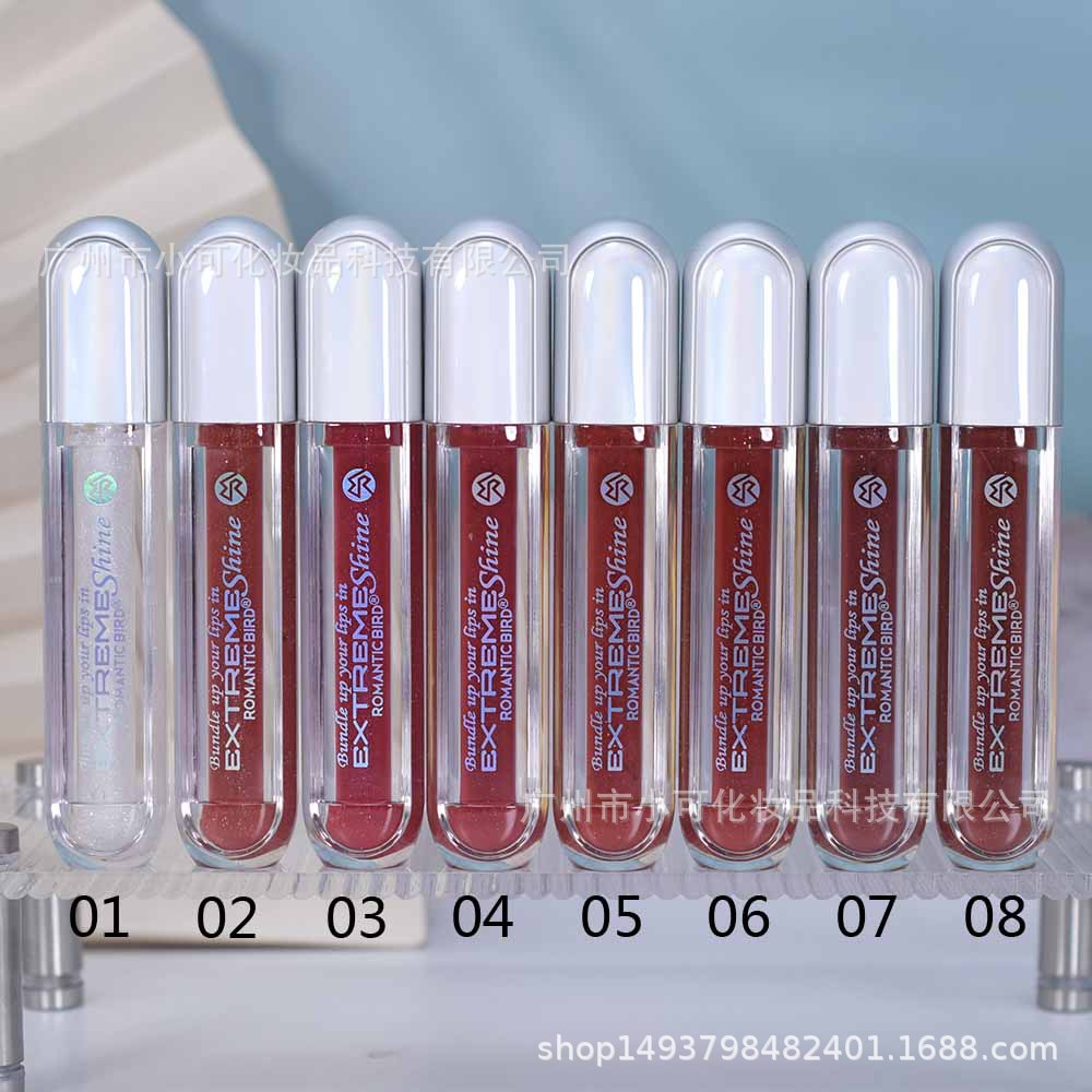 ROMANTIC BIRD's New Sparkling Lip Gloss RB305 Shimmering Lip Gloss Application Scenario