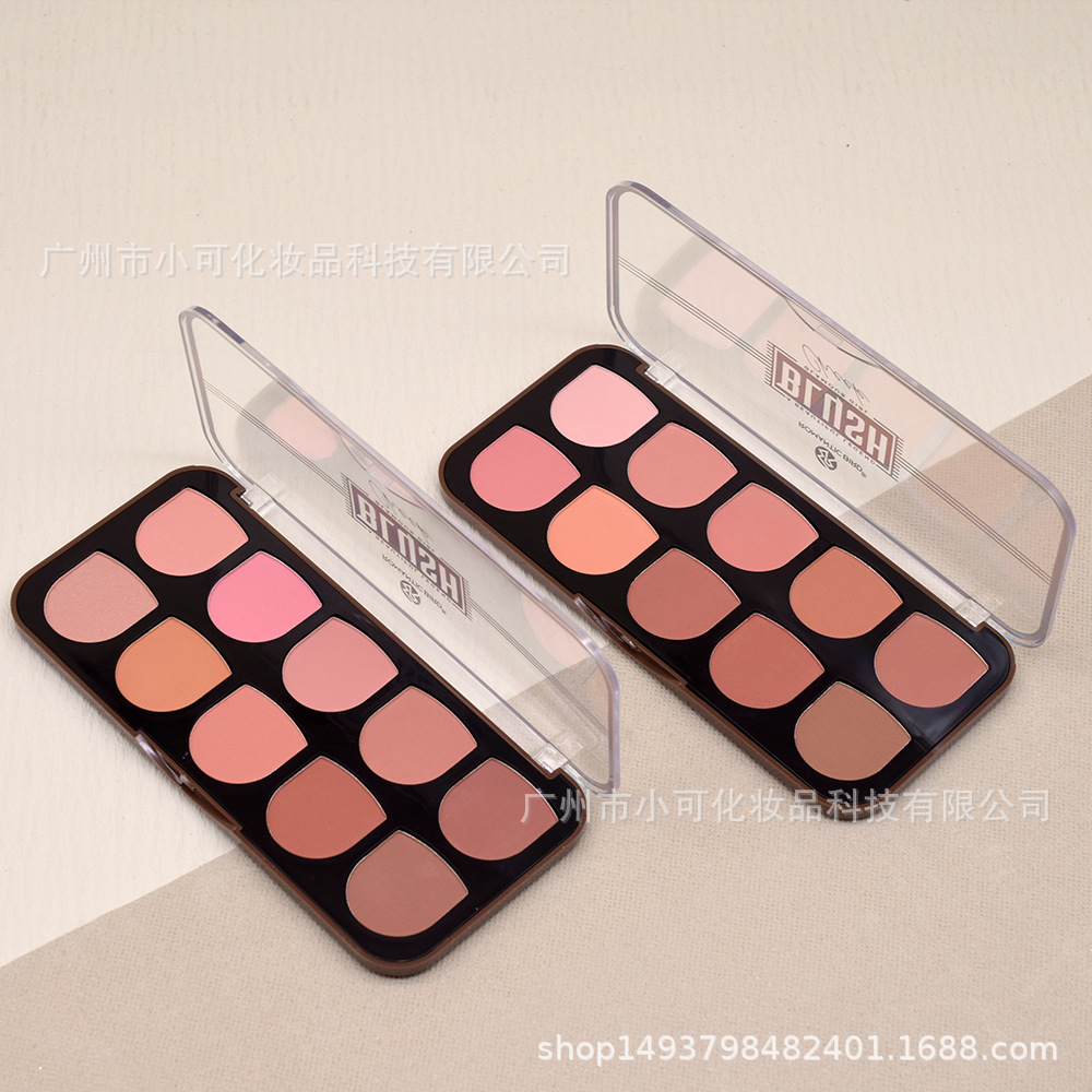 Only for cross-border export: [ROMANTICBIRD] F595B ten-color multi-color matte blush blush matte finish Application Scenario