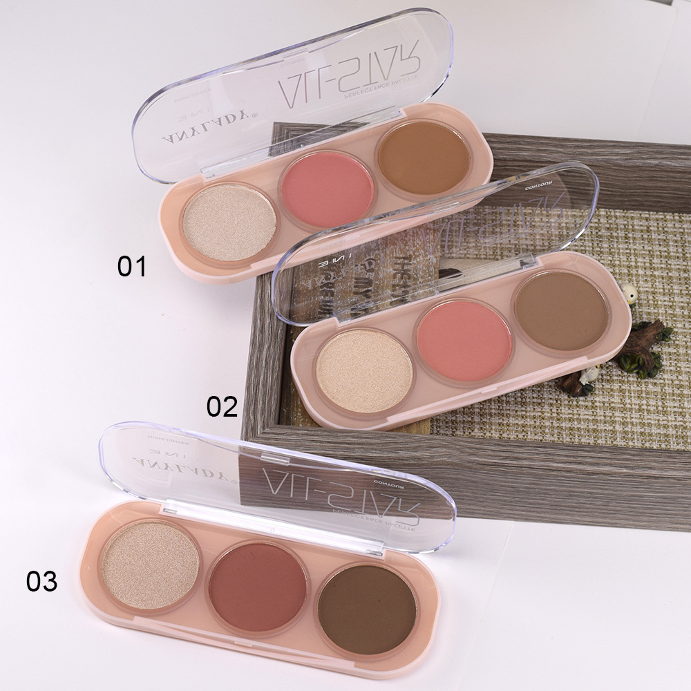 8269 New Blush, Highlight and Contouring makeup Set ANYLADY makeup palatte full figure