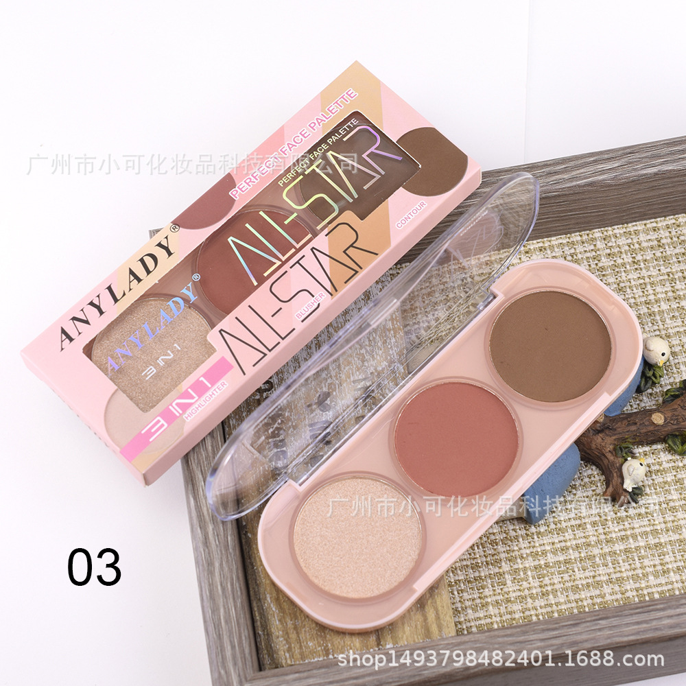8269 New Blush, Highlight and Contouring makeup Set ANYLADY makeup palatte Application Scenario