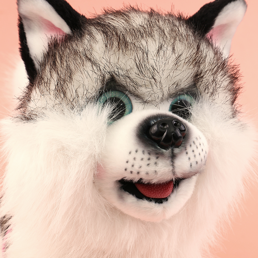 Friendly and harmonious electric plush puppy, accompanying friendly and harmonious coexistence, recording and sharing harmonious words, singing friendly and harmonious, being cute and affectionate Application Scenario