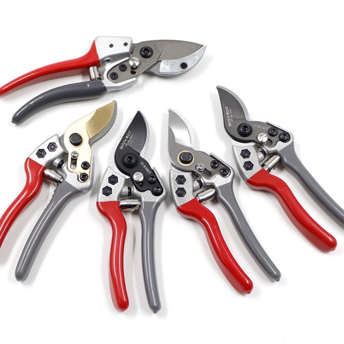 Eagle beak pruning shears, branch shears, garden flower branch shears, fruit tree pruning special fruit branch and flower art shears, thickened SK5 steel Item Picture
