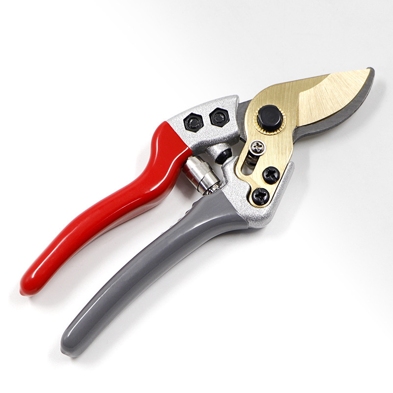 Eagle beak pruning shears, branch shears, garden flower branch shears, fruit tree pruning special fruit branch and flower art shears, thickened SK5 steel Specification drawing